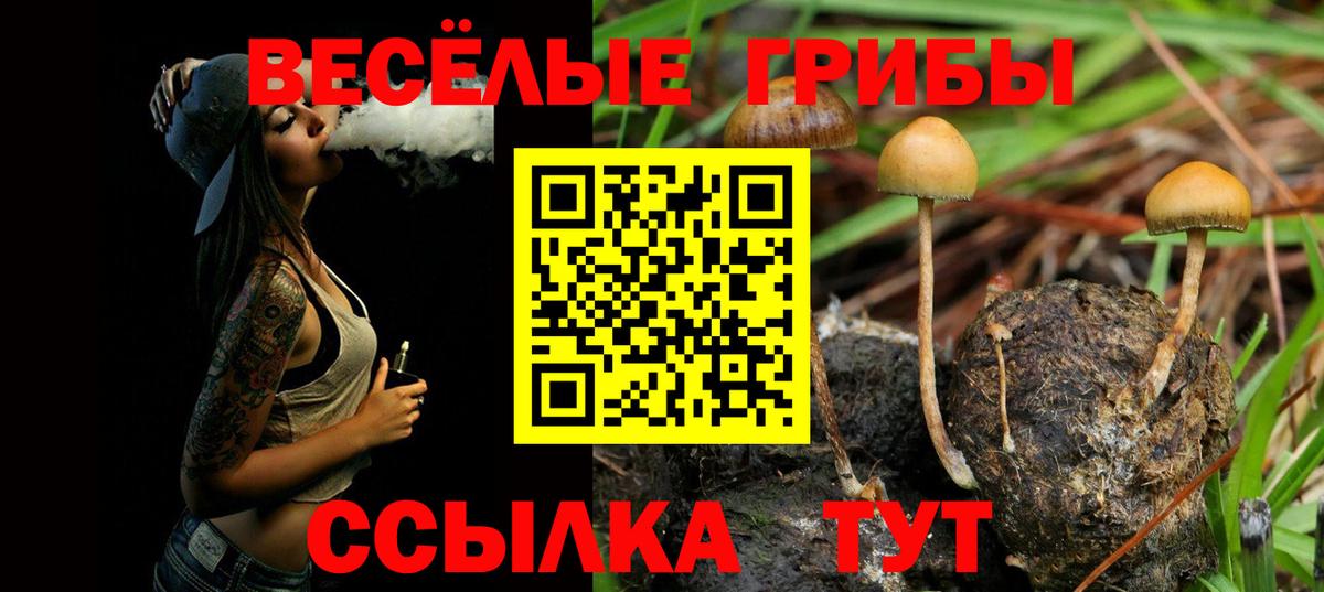 Галлюциногенные грибы мухоморы Узловая